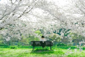 Avenue Women’s Center Reviews, May 2025